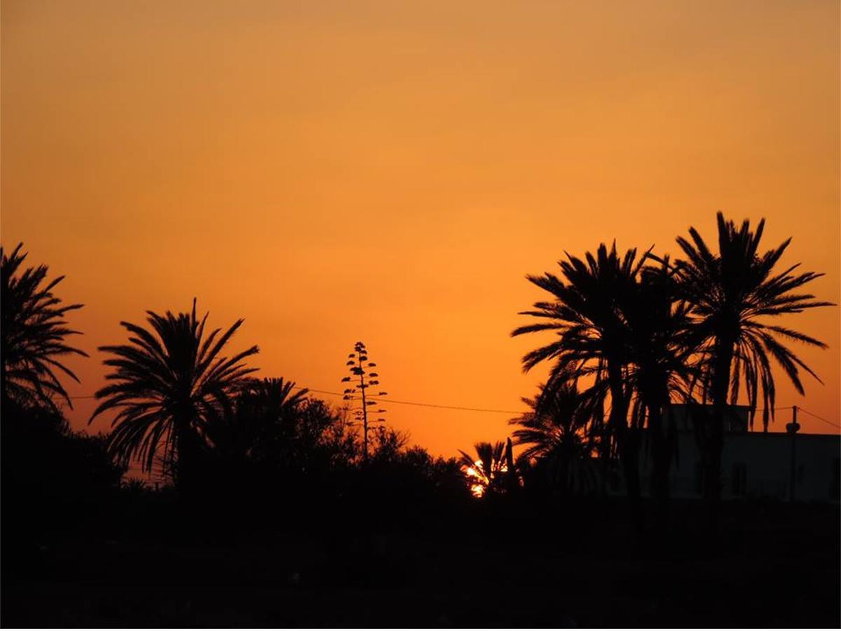 Dar Jasmin Djerba Bed and Breakfast Temlale Buitenkant foto