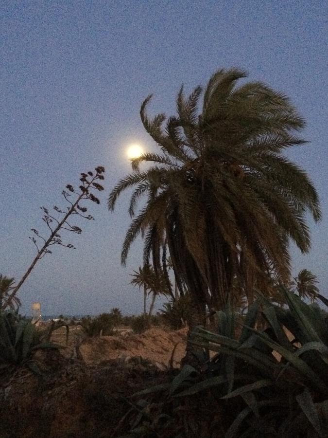 Dar Jasmin Djerba Bed and Breakfast Temlale Buitenkant foto