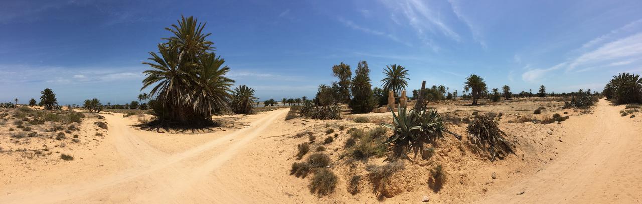 Dar Jasmin Djerba Bed and Breakfast Temlale Buitenkant foto
