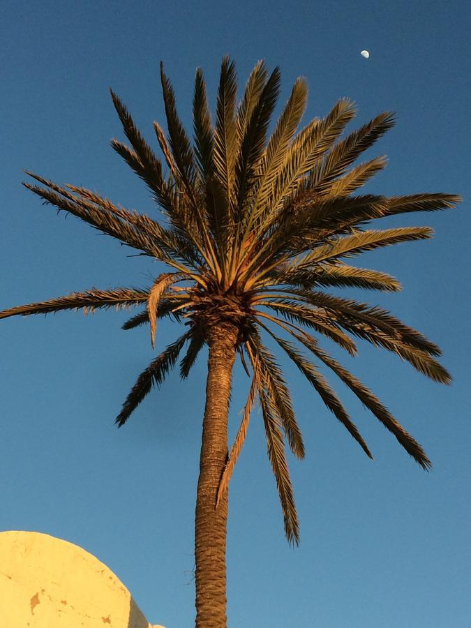 Dar Jasmin Djerba Bed and Breakfast Temlale Buitenkant foto