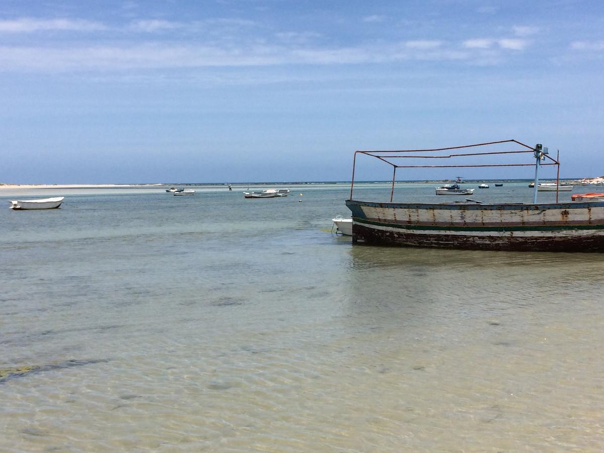 Dar Jasmin Djerba Bed and Breakfast Temlale Buitenkant foto