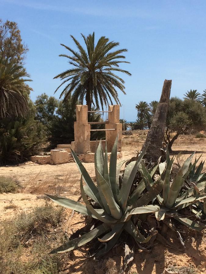 Dar Jasmin Djerba Bed and Breakfast Temlale Buitenkant foto
