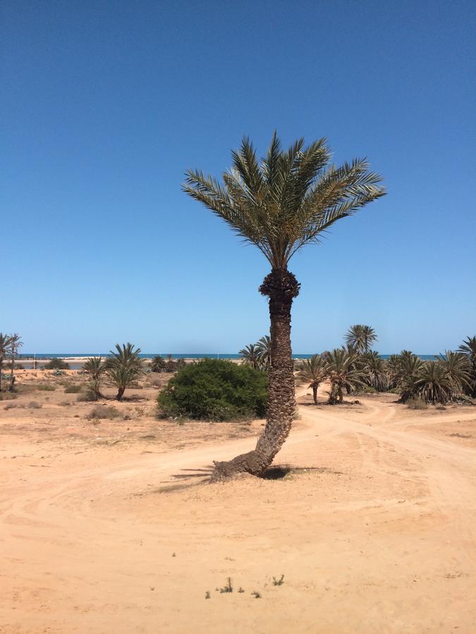 Dar Jasmin Djerba Bed and Breakfast Temlale Buitenkant foto