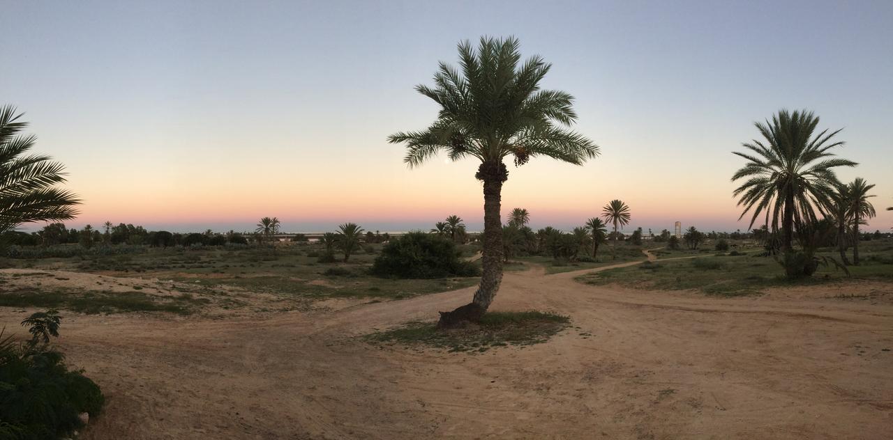 Dar Jasmin Djerba Bed and Breakfast Temlale Buitenkant foto