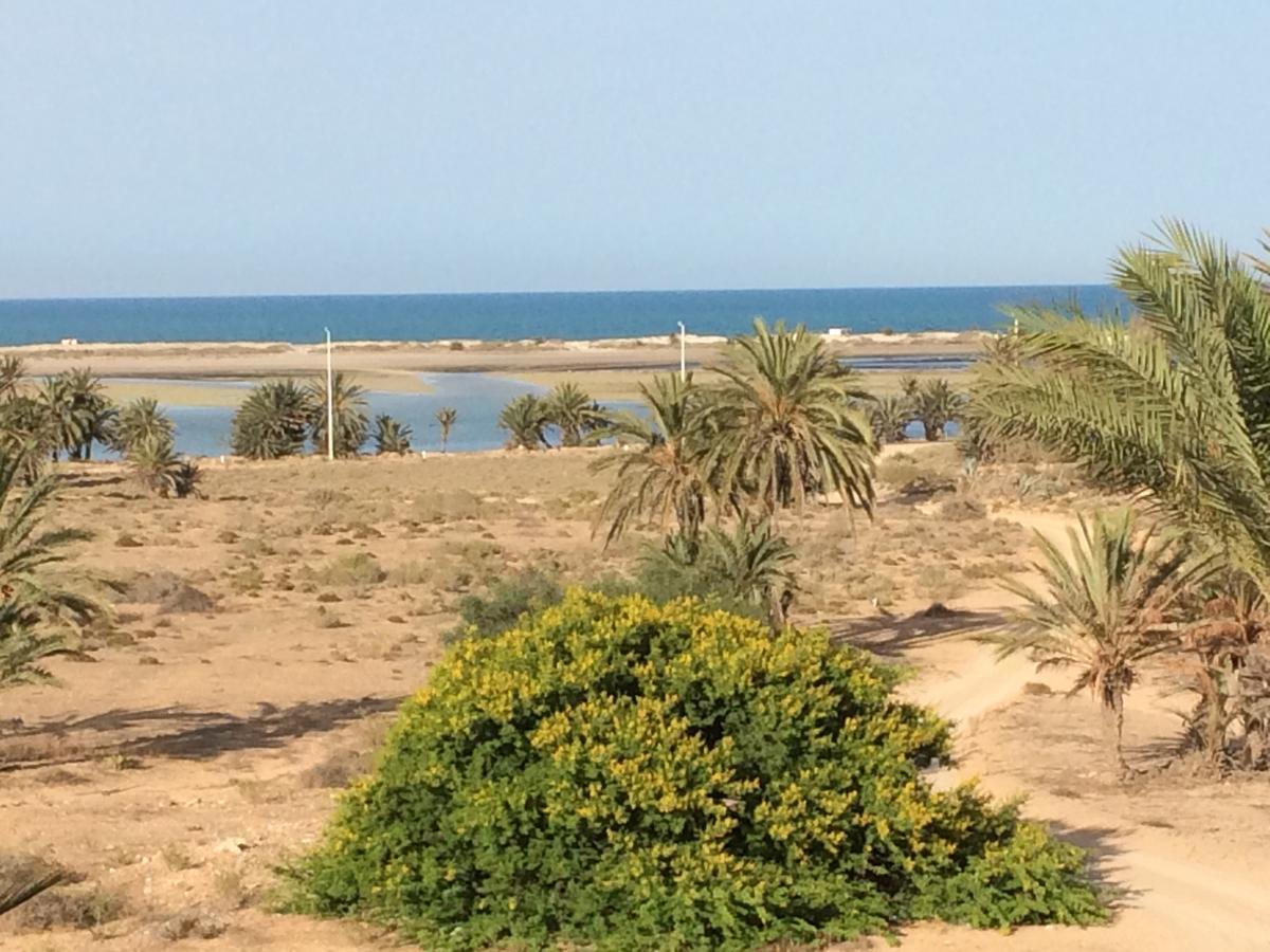 Dar Jasmin Djerba Bed and Breakfast Temlale Buitenkant foto