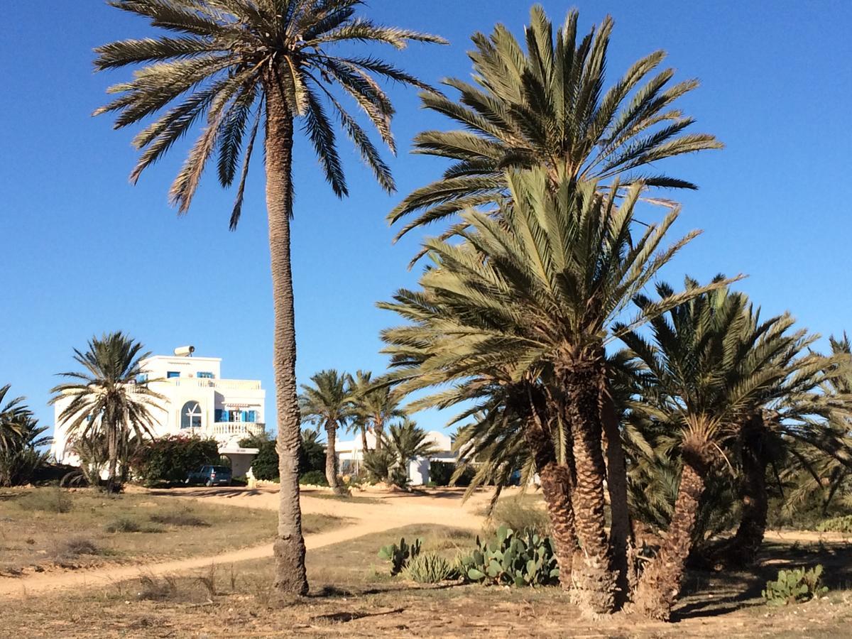 Dar Jasmin Djerba Bed and Breakfast Temlale Buitenkant foto
