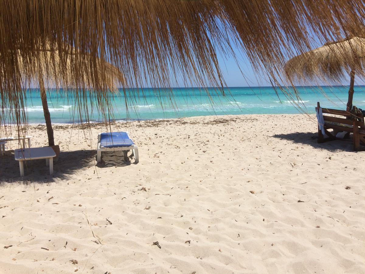 Dar Jasmin Djerba Bed and Breakfast Temlale Buitenkant foto